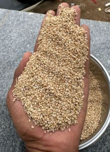 White Sesame Seeds