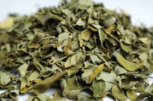 Dried Moringa Leaves