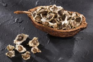 moringa seeds