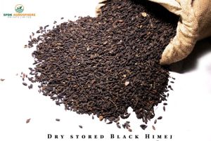 Black Himej