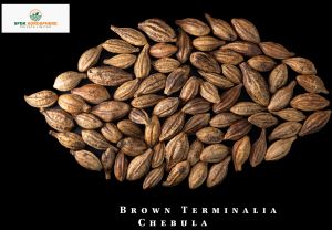 Natural Brown Terminalia Chebula