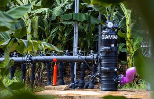 Amiad Sigma Fully Auto Filter