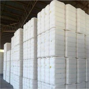 Compressed Cotton Bale