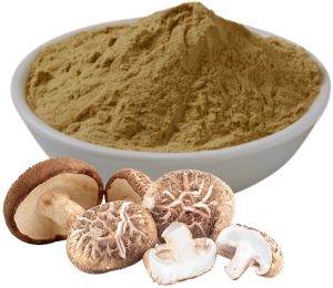 Fine Grade Mushroom Powder