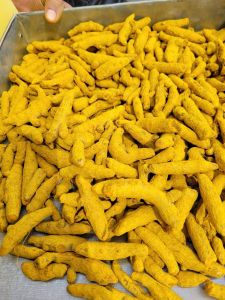 Double Polished Turmeric