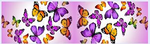 AC Cover Print Fabric