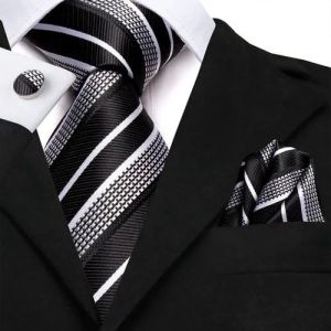 Mens Striped Neckties