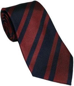Institutional Ties