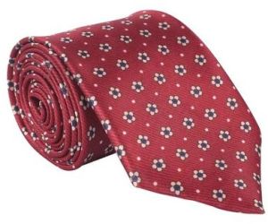 Mens Alvertin Polyester Neckties