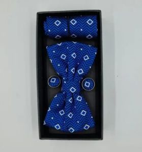 Silk Bow Tie Set