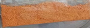 Dehydrated Carrot Powder