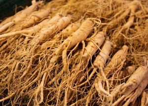 Dried Ginseng Roots