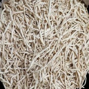 Dried Safed Musli Root