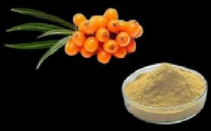 Dried Sea Buckthorn Powder