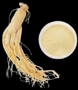 Dried Shatavari Extract Powder