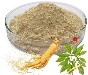 Ginseng Root Powder