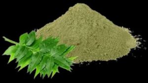 Natural Dried Neem Powder
