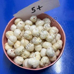 5 Plus Suta Makhana