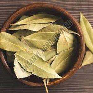 Bay Leaf
