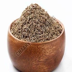Cumin Seeds