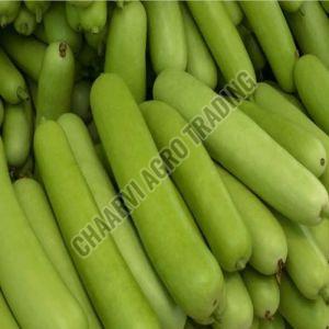Fresh Bottle Gourd