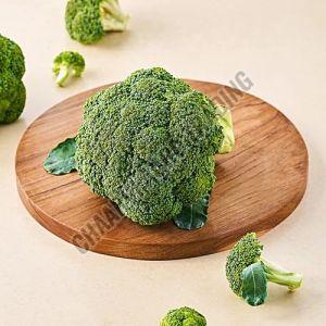 Fresh Broccoli