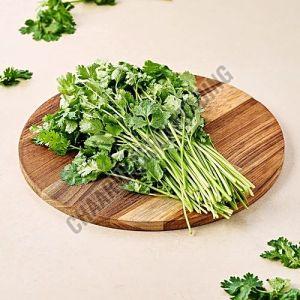 Fresh Coriander Leaves