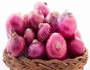 Fresh Pink Onion