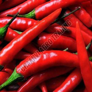 Fresh Red Chilli
