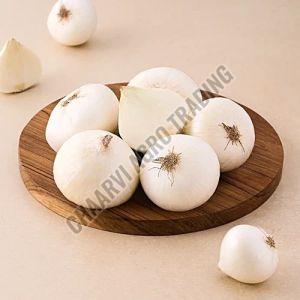 Fresh White Onion