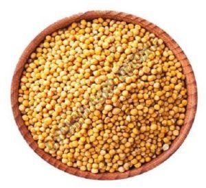 Yellow Mustard Seeds