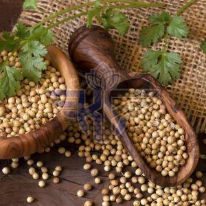 coriander seeds