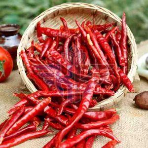 Dry Red Chilli