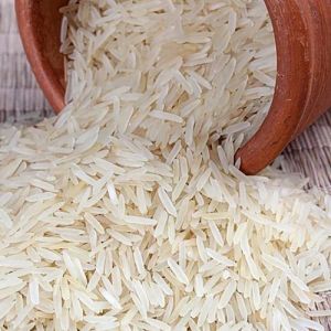 PR 14 Basmati Rice