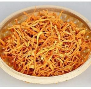 Caterpillar Fungus Cordyceps Militaris