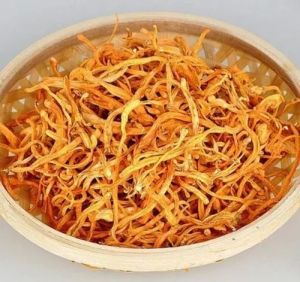 Dark Orange Cordyceps Militaris