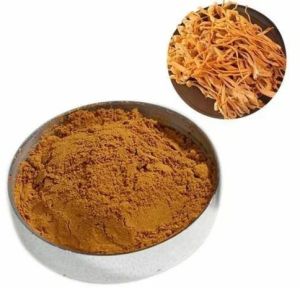 Cordyceps Militaris Powder