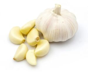 Fresh White Garlic