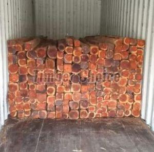 Burma Teak Wood Cut Size Logs
