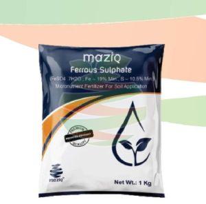 Ferrous Sulphate