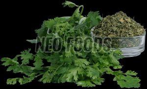 Coriander Flakes
