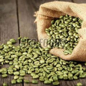 Green Coffee Beans