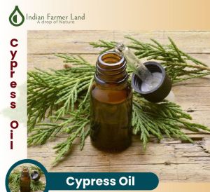 Cypress Oil