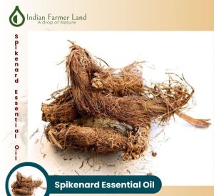 Spikenard Essential Oil