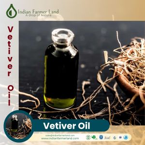 Vetiver Oil