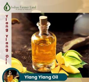 Ylang Ylang Oil