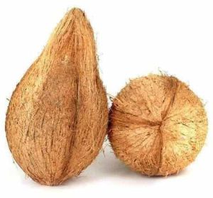 A Grade Brown Coconut