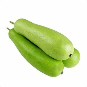 A Grade Fresh Bottle Gourd