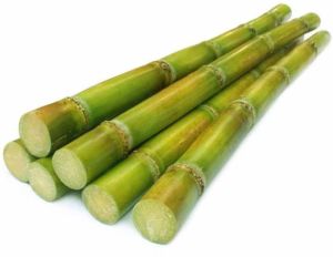 A Grade Fresh Sugarcane