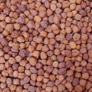 Brown Desi Chana